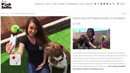 The Perfect Selfie Stick For Your Pooch