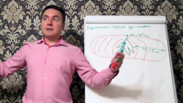 Евгений Грин — Парапсихология — Строение ауры человека