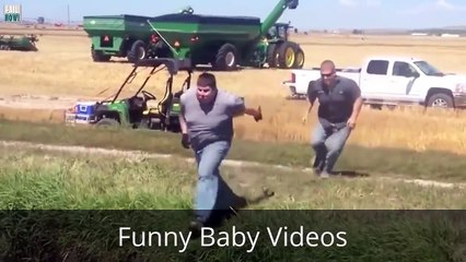 funny videos that will make you laugh 100 times