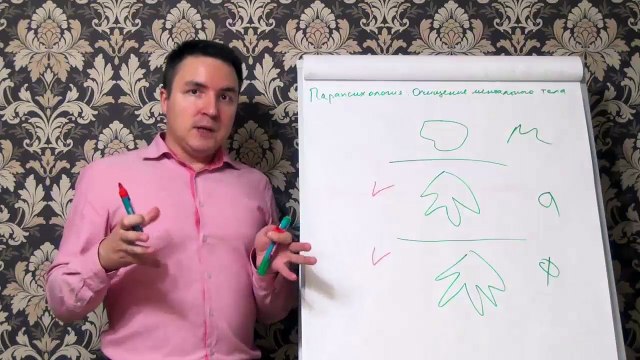 Евгений Грин — Парапсихология — Очищение ментального тела