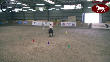 Mistrzostwa Polski w jeździe bez ogłowia 2016-09-10 i 11 Wrocław