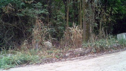 Mtb, 55 km, 9 amigos, Trilhas, pedalando com a bike Soul SL 129, 24v, aro 29, Cachoeiras do Vale do Paraíba, Taubaté, SP, Brasil, (25)