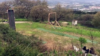 Funny Video Amazing Funny Clip That Amazed your Funny Videos For Kids