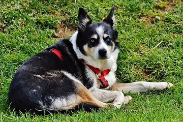 찜알바주소』시크릿알바 폭스알바 부산알바 천사알바