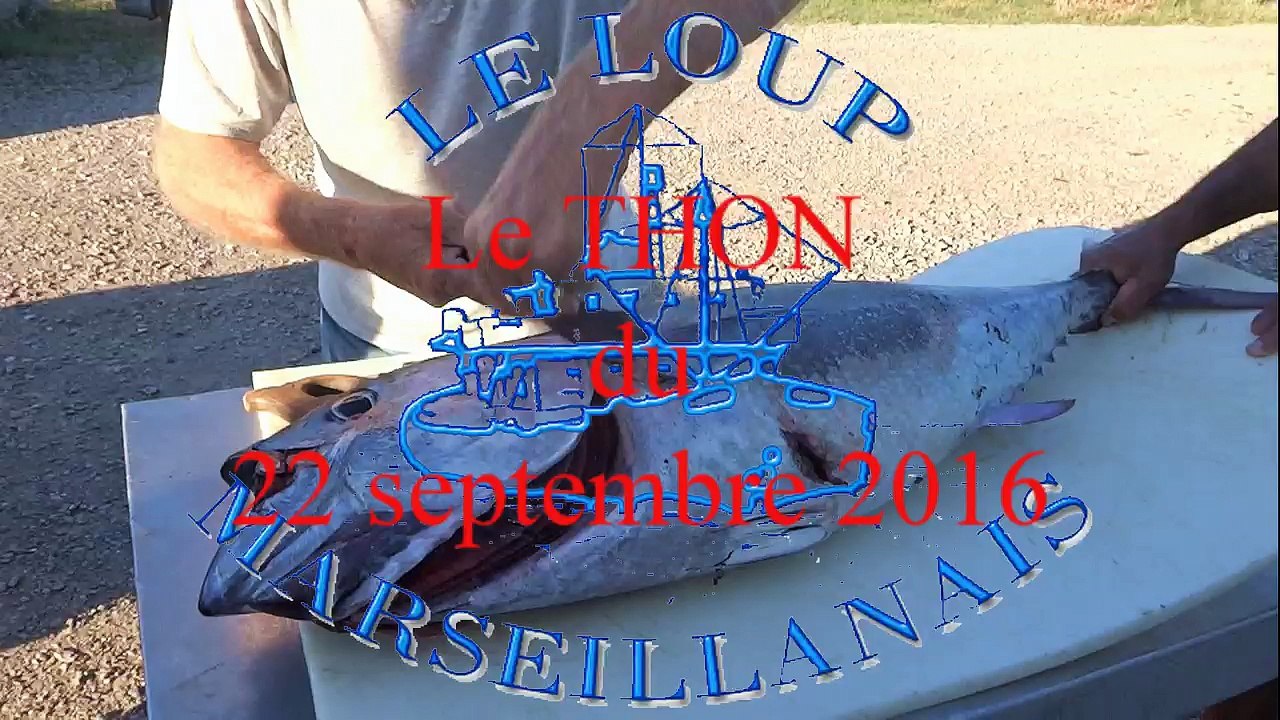 Le THON du 22 septembre 2016
