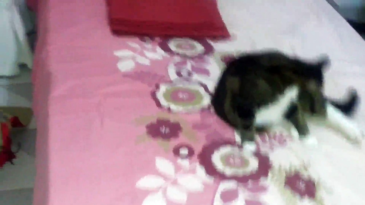 Zoi and kitty