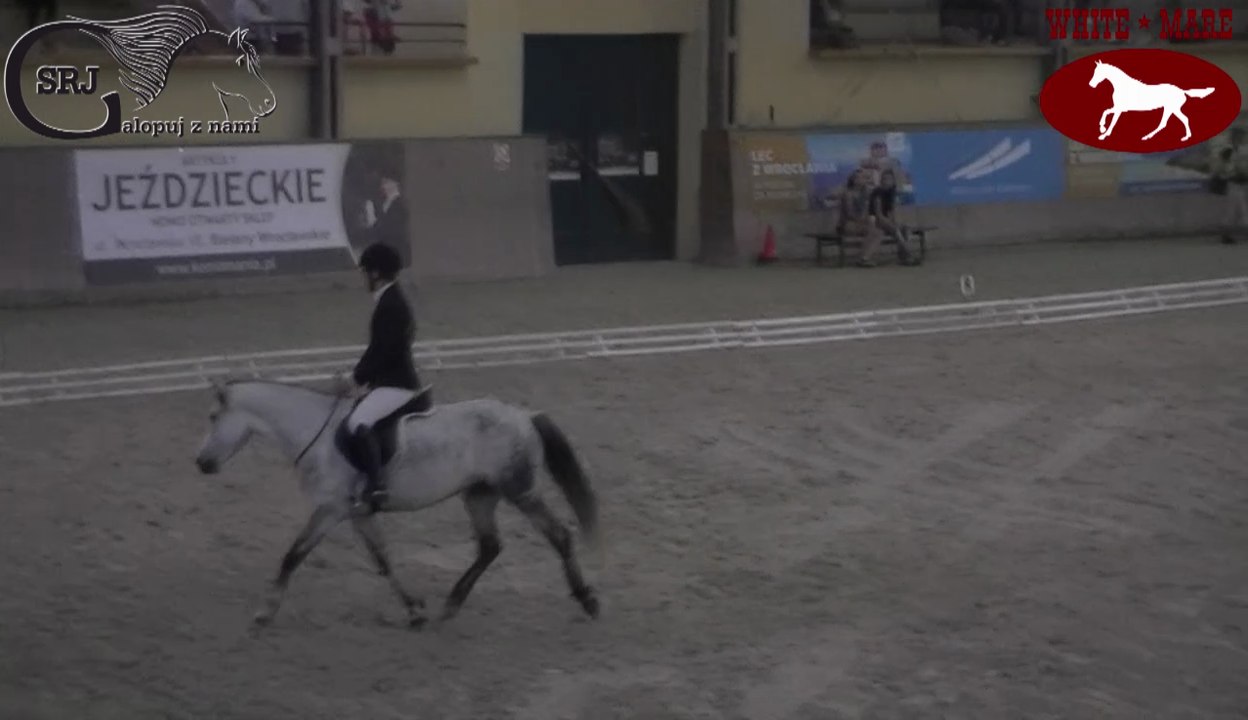 Mistrzostwa Polski w jeździe bez ogłowia 2016-09-10 i 11 Wrocław