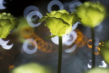 찜알바주소』아가씨알바 여알바 전주찜알바 바알바후기