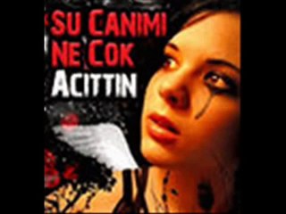 Fatih yesiLgüL Yaz Bir Kenara