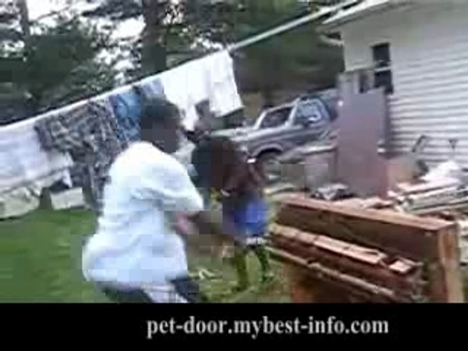 Dumbass Owns Himself with a Baseball Bat