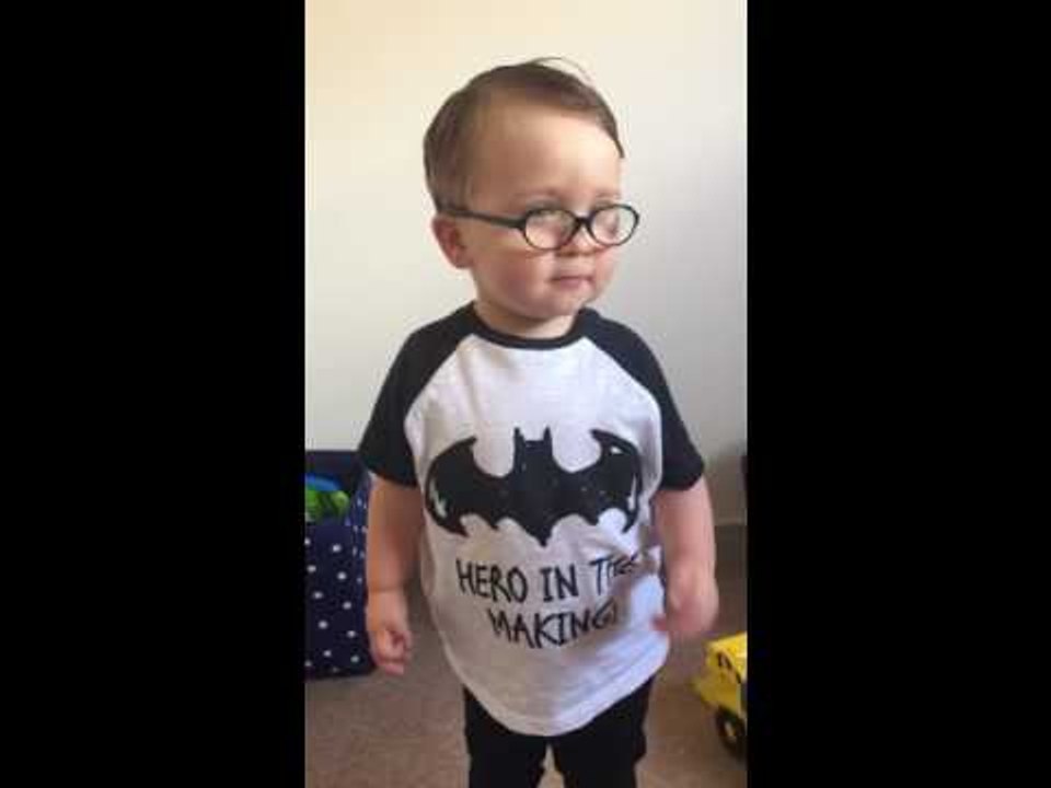 Little Boy Imitates His Favorite Animals and Superheroes