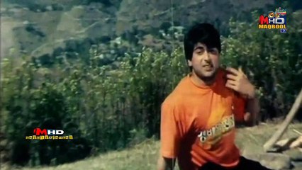 nirma lollywood song-garmiyoon ke woh din