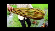 Net Fishing in Siem Reap Province - Cast Net Fishing Markup Cover by Siem Reap Net Fishing 2016