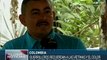 Colombia: guerrilleros de FARC también esperan la llegada de la paz