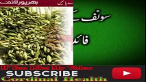 Sonf Ke Fawaid  SONF (FENNEL SEED Health and Beauty benefits of Saunf  Fennel