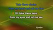 Karaoke Take These Chains from My Heart - Lee Roy Parnell