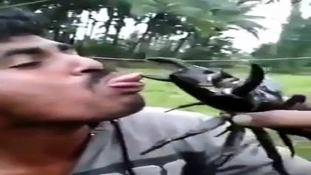 23/7 - Thanh niên chơi ngu nhất thế giới