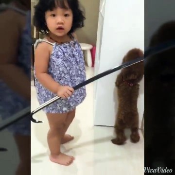 Đầu xù lớn mắng đầu xù bé