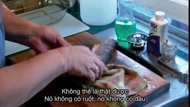 Kinh hoàng cá không đầu, không xương vẫn còn sống