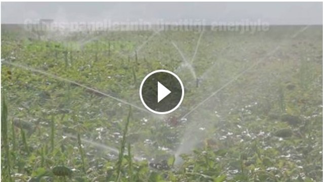 Çiftçi Esat Arslan, güneş panelleri ile kurak ovaya can verdi.