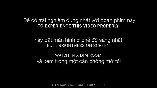 Thí nghiệm thú vị về sự ảo giác cùng quả chuối trắng đen trên màn hình