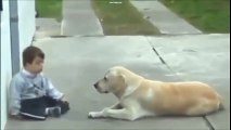 Động vật - Chú chó ngồi chơi với đứa trẻ bị down