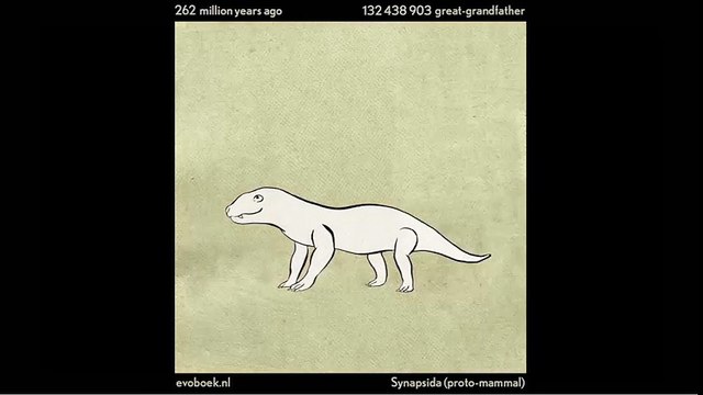 550 triệu năm lịch sự phát triển của loài người