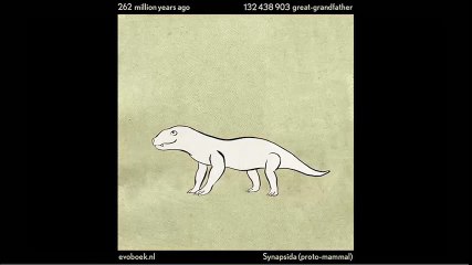 550 triệu năm lịch sự phát triển của loài người