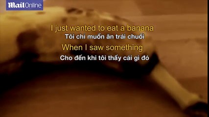 Sởn da gà trước cảnh con nhện chui ra từ quả chuối