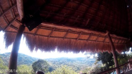 KIOSKOS CON VETIVER (3)-HD