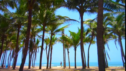 Hướng Dẫn Cách Vẽ Áo Thun