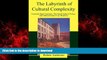 FAVORIT BOOK The Labyrinth of Cultural Complexity: Fremont High Teachers, The Small School Policy,