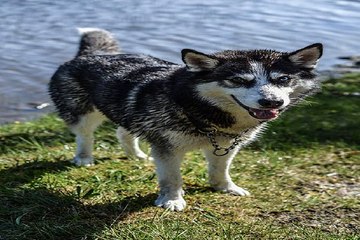 창원알바,단기알바추천↔찜알바↔수원남자알바,단기고수익알바