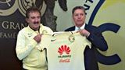 ¿Qué versión de Lavolpe veremos?