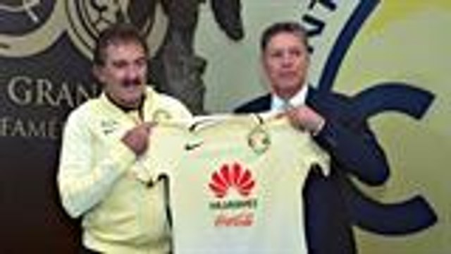 ¿Qué versión de Lavolpe veremos?