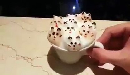 Un café pour les fans de chats!