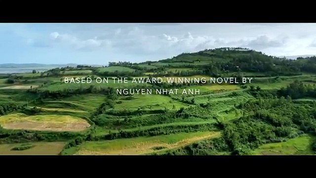 Hoa vàng trên cỏ xanh trailer