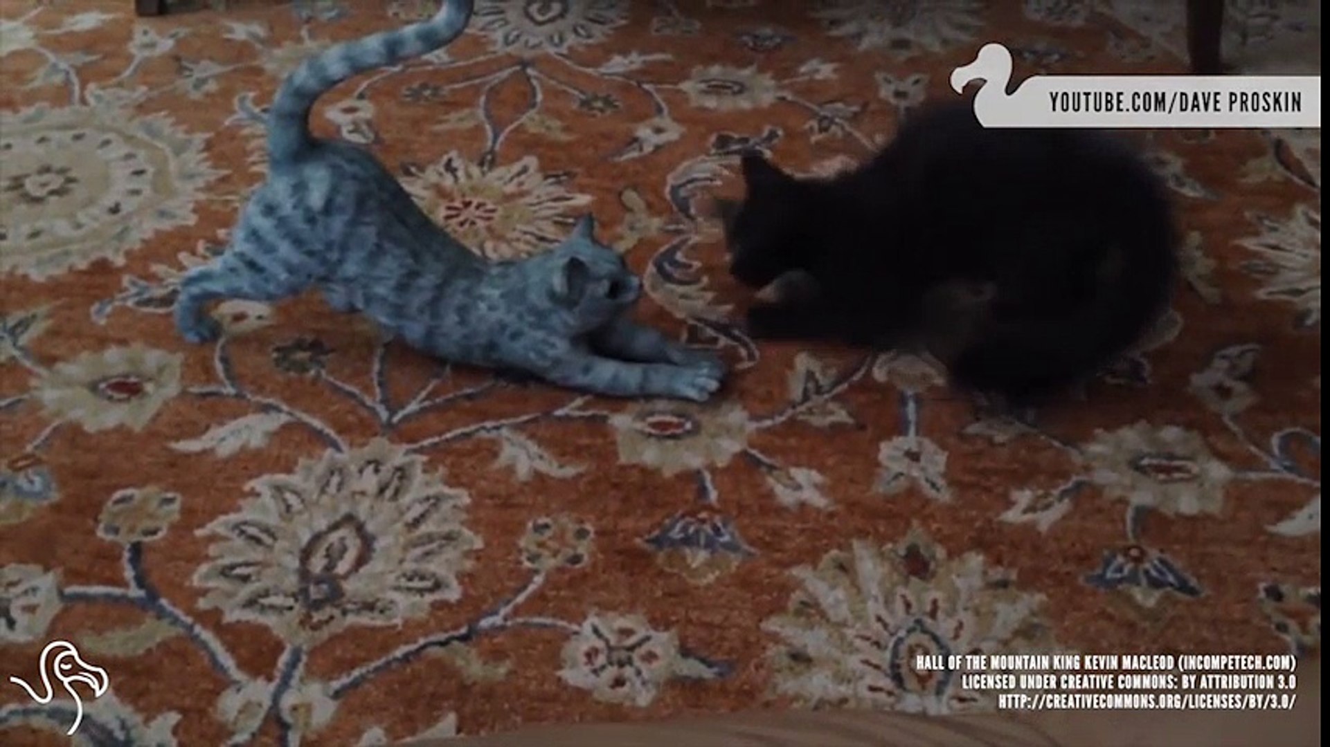 ⁣cats vs fake cats