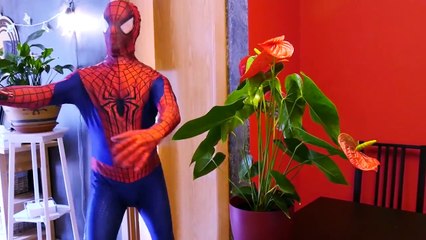 Spiderman vs Police Wanted Dead or Alive! w_ Harley Queen, Frozen Elsa & Fun Superhero In Real Life!-_2IDw1Nmr3o part 7