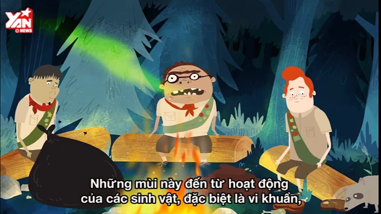 What causes bad breath?