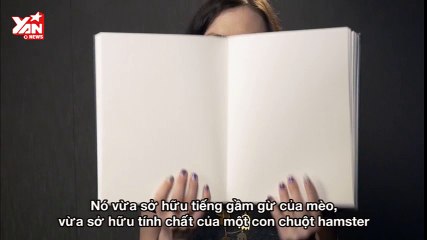 Why we fall for april fool day