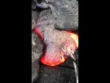 What Happens When You Pee on Lava