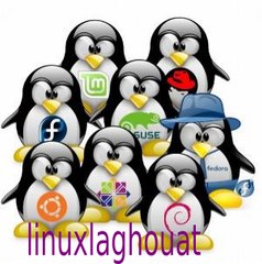 تثبيت وتحميل لينكس ديبين Install  and Install deepin linux