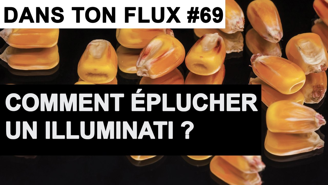 Comment éplucher un illuminati ? #DansTonFlux 69