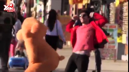 Teddy Bear Scare Prank