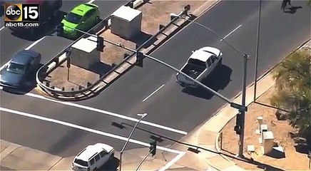 Lạc đà đi lạc