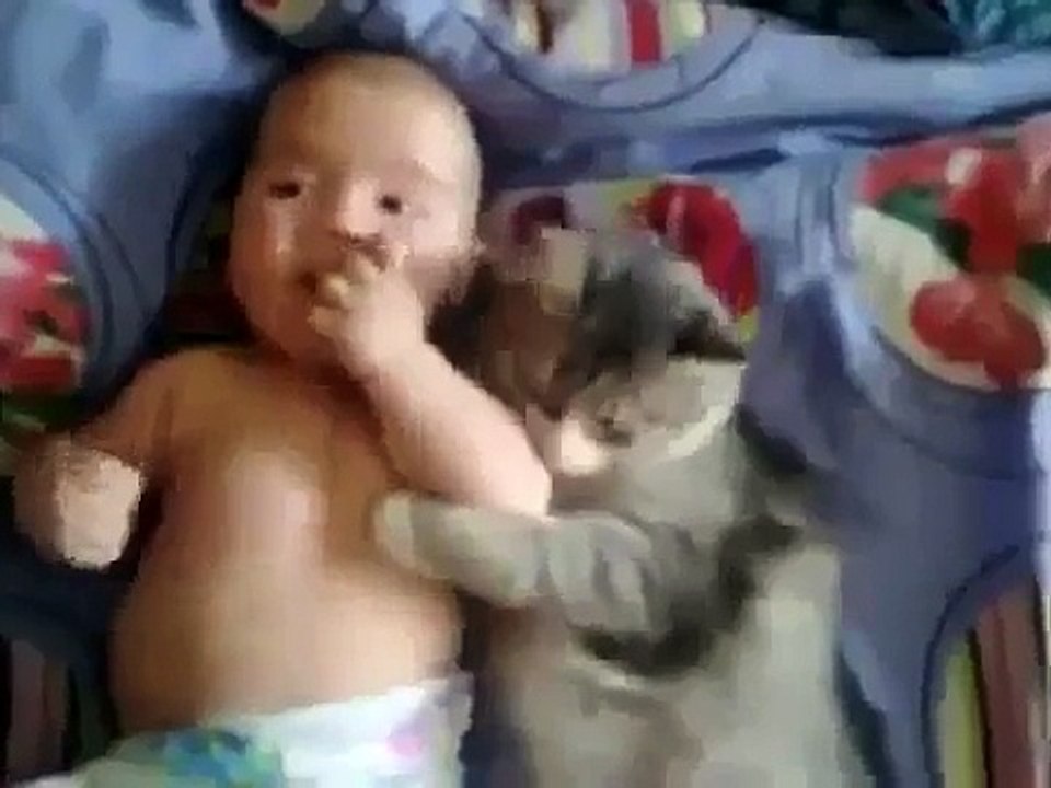Funny Video Baby Clips Cute Cat Loves Baby From Funny And Cute Cats And Babies new 2016 funny videos latest funny videos upcoming funny videos new 2016 songs bollywood latest songs upcoming songs punjabi songs hit songs top - Vide.