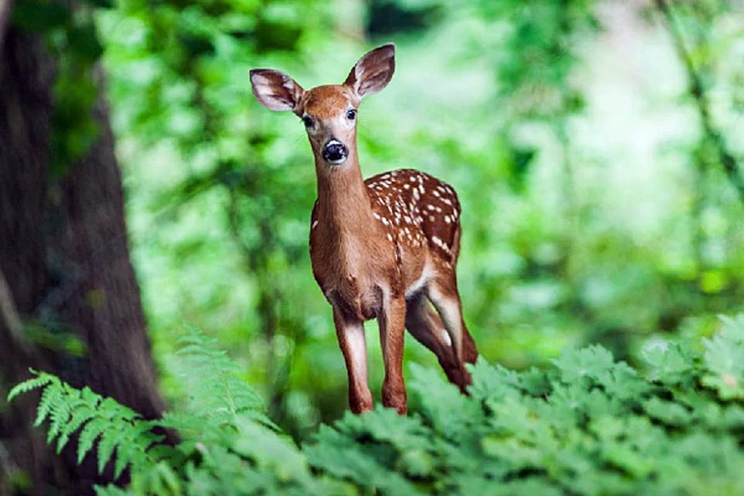 대학생알바『찜알바』일하자닷컴