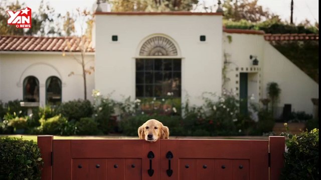 2015 Coldwell Banker TV Commercial_ Home's Best Friend