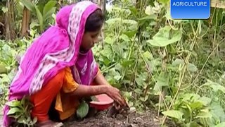BEST AGRICULTURE GROWTH 2016 || কৃষি খামাড় করে রুপালী বেগমের স্বাবলম্বী হওয়ার কাহিনী তার মুখ থেকে শোনেন।